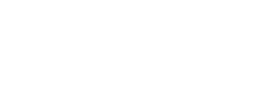 AI-Link - Algeria Italia Link